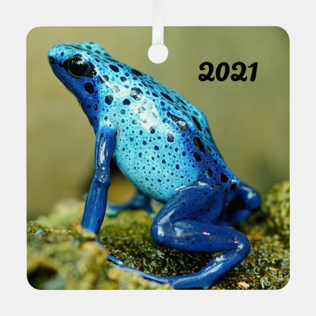 Blue and Black Poison Dart Frog Metal Ornament (Front)