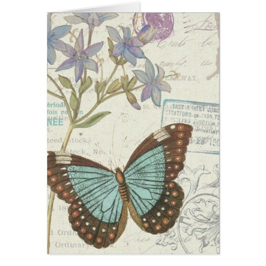 Blue and Brown Butterfly Cards (Front)