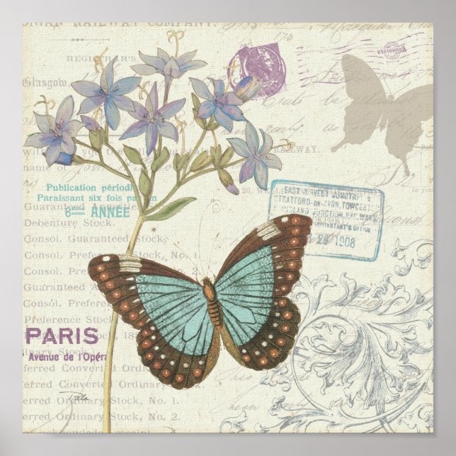 Blue and Brown Butterfly Poster (Front)