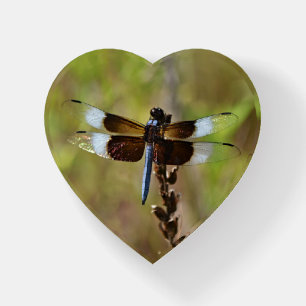 Blue and Brown Dragonfly Glass Heart Paperweight
