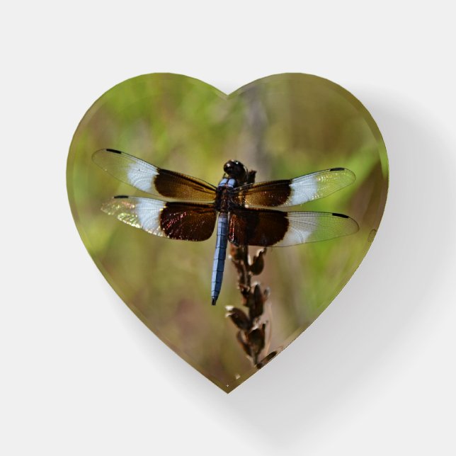 Blue and Brown Dragonfly Glass Heart Paperweight (Front)