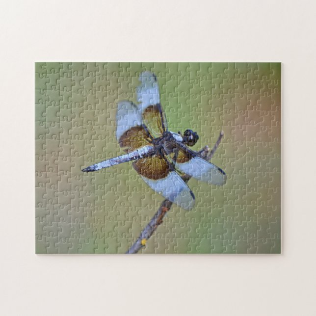Blue and Brown Dragonfly Insect Nature Puzzle (Horizontal)