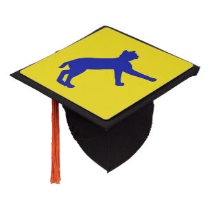 Blue and Gold Bobcat cap topper