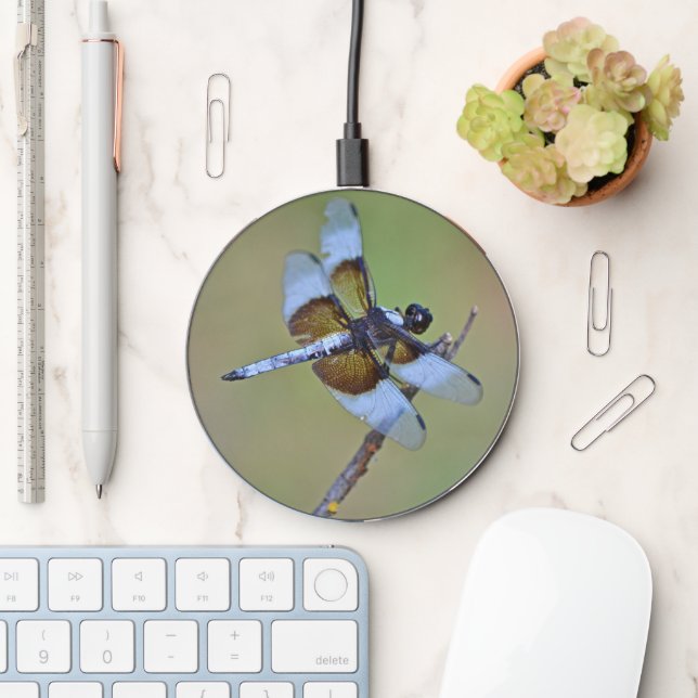 Blue and Gold Dragonfly Charger (Desk)