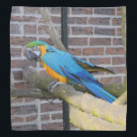Blue And Gold Macaw Bandana<br><div class="desc">Blue and gold macaw decorates this pretty 19.5 X 19.5 bandana</div>
