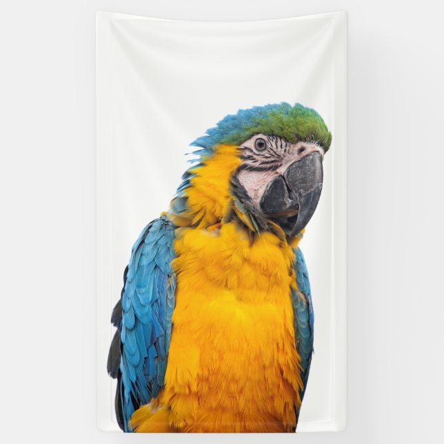Blue and Gold Macaw Banner (Vertical)