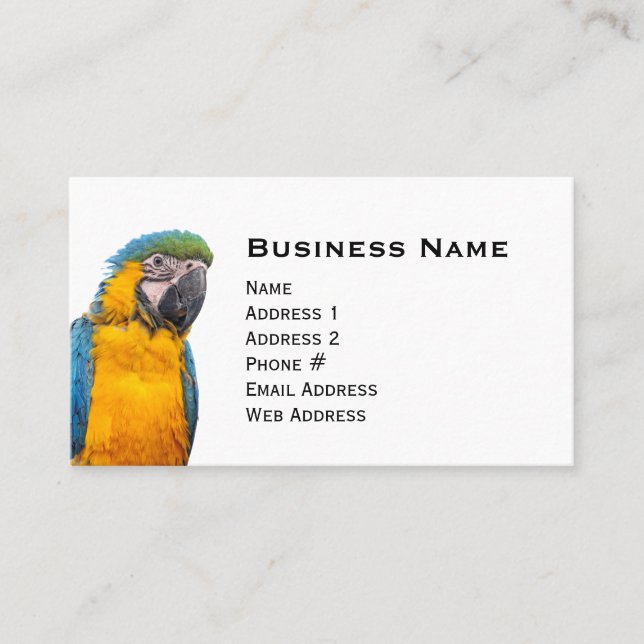 Blue and Gold Macaw Business Card (Front)