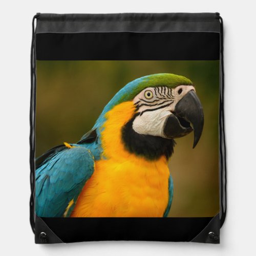 blue and gold macaw drawstring bag