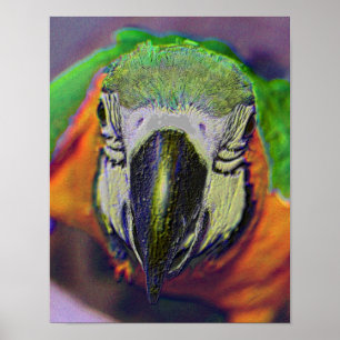 Blue And Gold Macaw Face Parrot Abstract Art Poster