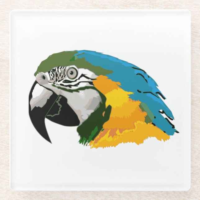 Blue and Gold Macaw Glass Coaster (Front)