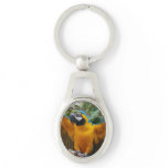 Blue and Gold Macaw Keychain