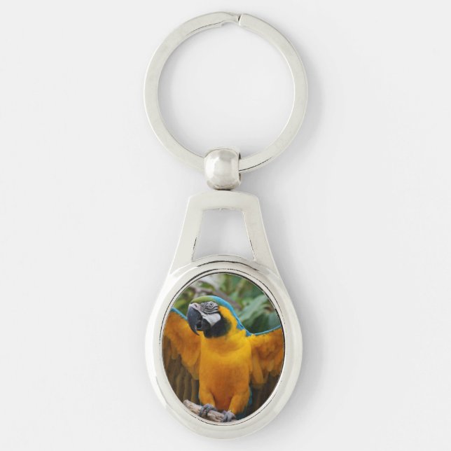 Blue and Gold Macaw Keychain (Front)