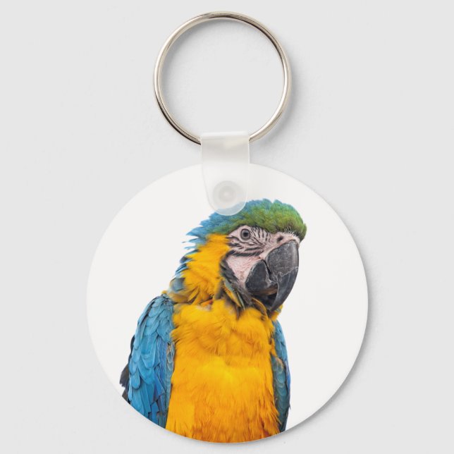 Blue and Gold Macaw Keychain (Front)