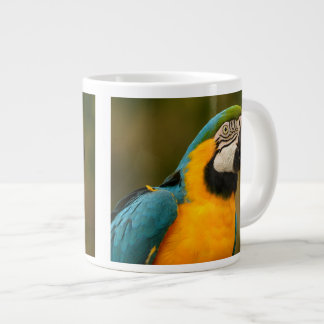 blue and gold macaw large coffee mug