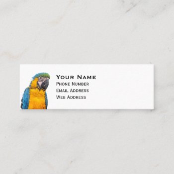 Blue And Gold Macaw Mini Business Card by PixLifeBirds at Zazzle