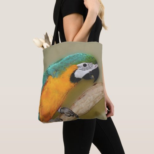 Blue And Gold Macaw Parrot Animal  Tote Bag