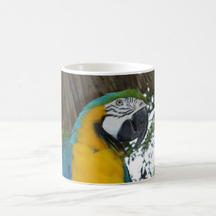 blue and gold macaw parrot coffee mug
