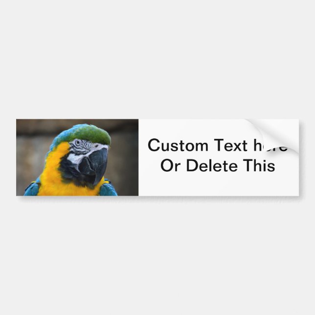 blue and gold macaw parrot head view c bumper sticker (Front)