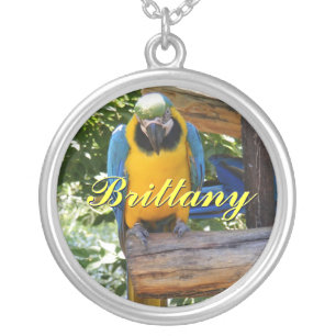 Blue and Gold Macaw Parrot Necklace