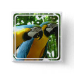 Blue and Gold Macaw Pin