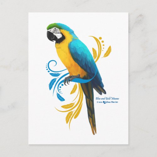 Blue and Gold Macaw Postcard