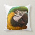 Blue and Gold Macaw Realistic Painting Pillow