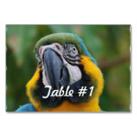 Blue and Gold Macaw Table Number