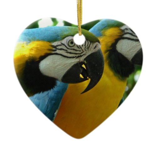 Blue and Gold Macaws Ornament