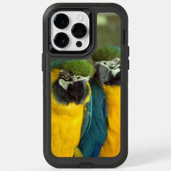 Blue And Gold Macaws  Otterbox Iphone 14 Pro Max Case by shotwellphoto at Zazzle