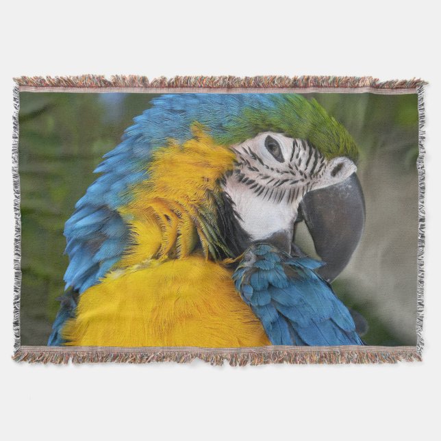 Blue And Gold Parrot Throw Blanket (Front)
