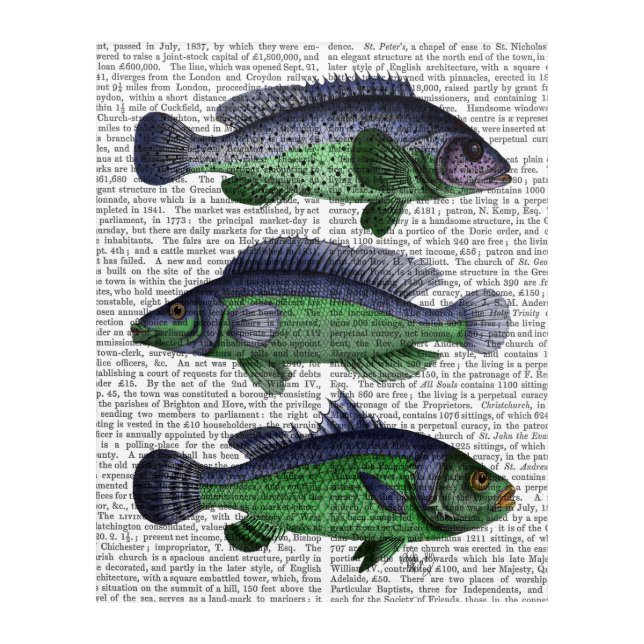 Blue and Green Fish Trio Acrylic Print (Front)