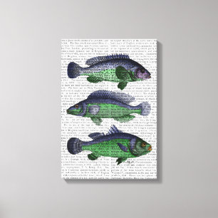 Blue and Green Fish Trio Canvas Print