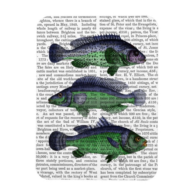 Blue and Green Fish Trio Magnet (Vertical)