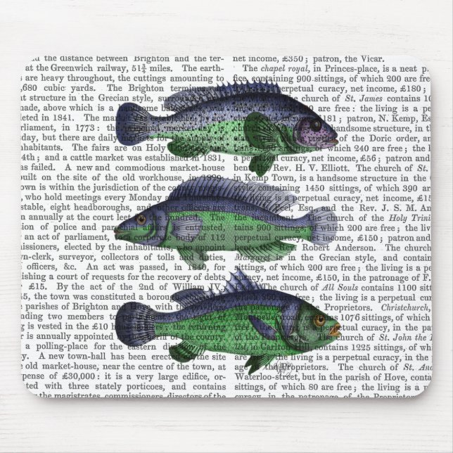 Blue and Green Fish Trio Mouse Pad (Front)