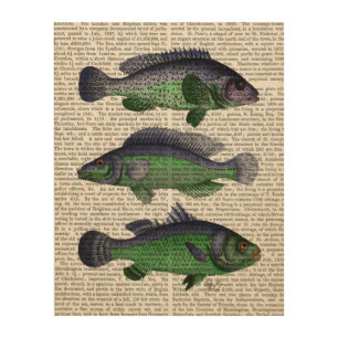 Blue and Green Fish Trio Wood Wall Decor