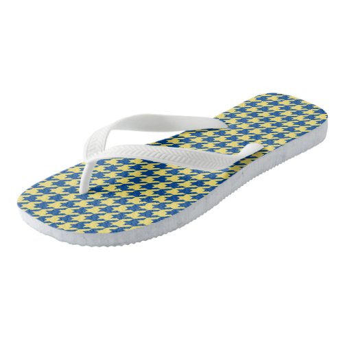 Blue and green Houndstooth Flip Flops