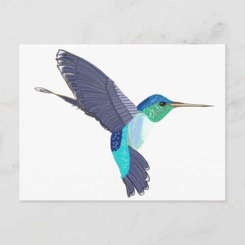 Blue and Green Humming Bird Postcard