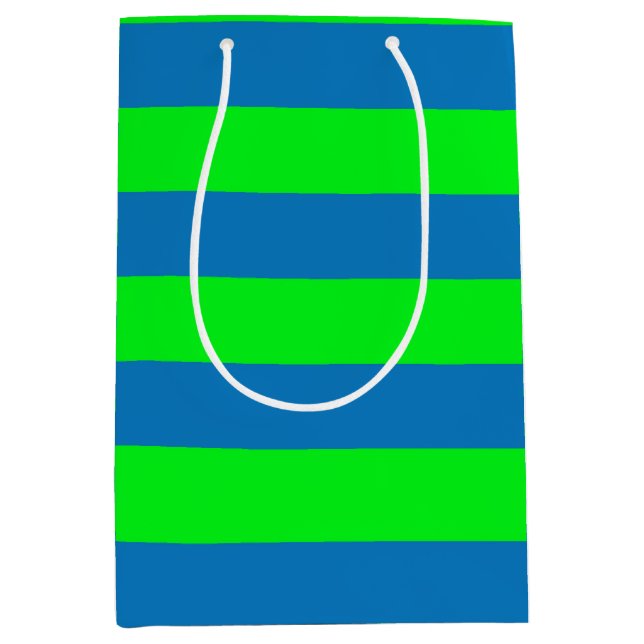 Blue and Green Stripes Design Medium Gift Bag (Front)