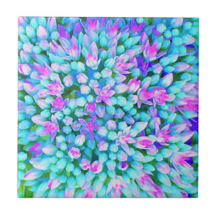 Blue and Hot Pink Succulent Sedum Flowers Detail Ceramic Tile