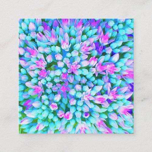 Blue and Hot Pink Succulent Sedum Flowers Detail Square Business Card