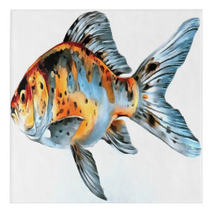 Blue and Orange Shubunkin Goldfish Acrylic Print