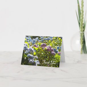 Blue and Pink Hydrangea Thank You