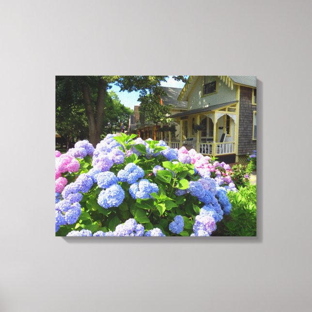 Blue and Pink Hydrangeas - Martha's Vineyard Canvas Print (Front)