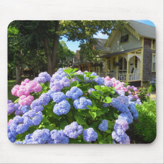 Blue and Pink Hydrangeas - Martha's Vineyard Mouse Pad