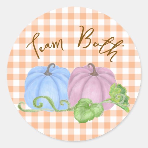 Blue and Pink pumpkin twin gender reveal Team Both Classic Round Sticker