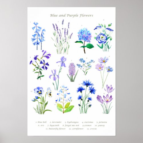 blue and purple  flower collection watercolor  poster