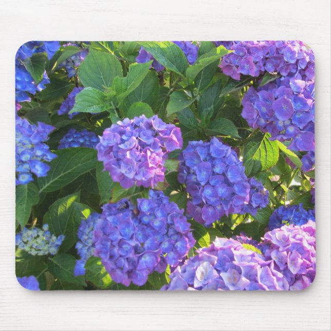 Blue and Purple Hydrangeas Mouse Pad (Front)