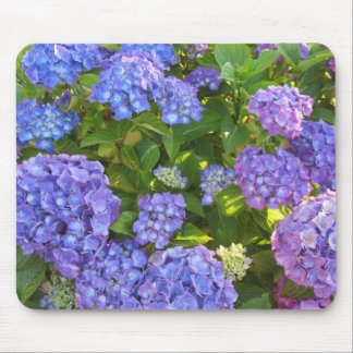 Blue and Purple Hydrangeas Mouse Pad
