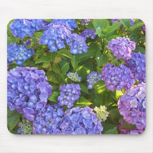 Blue and Purple Hydrangeas Mouse Pad (Front)