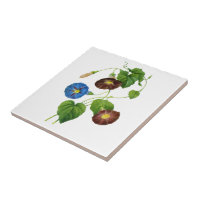 Morning Glories Flower Monogram Tile